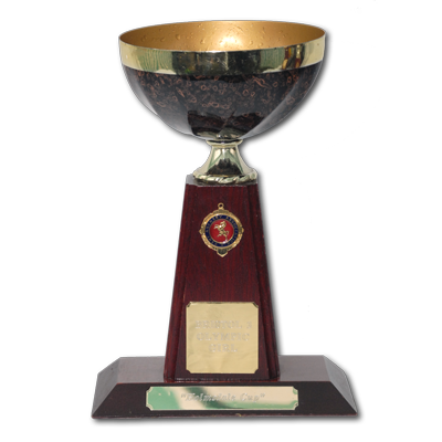 Holmsdale Cup